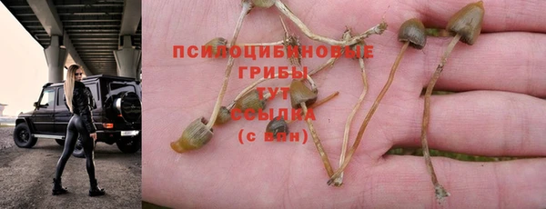дживик Алексин