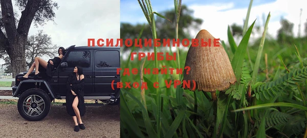 кокс Алзамай